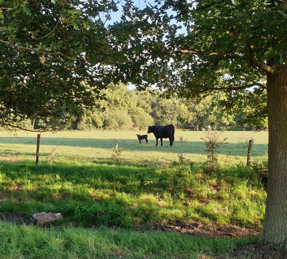 B&B De Scherpenhof Leur Esterno foto